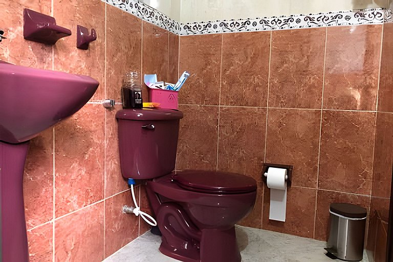 Casa con huerto orgánico.